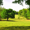 Queens Drive Horse Farm